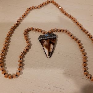 Giant Shark Tooth Necklace